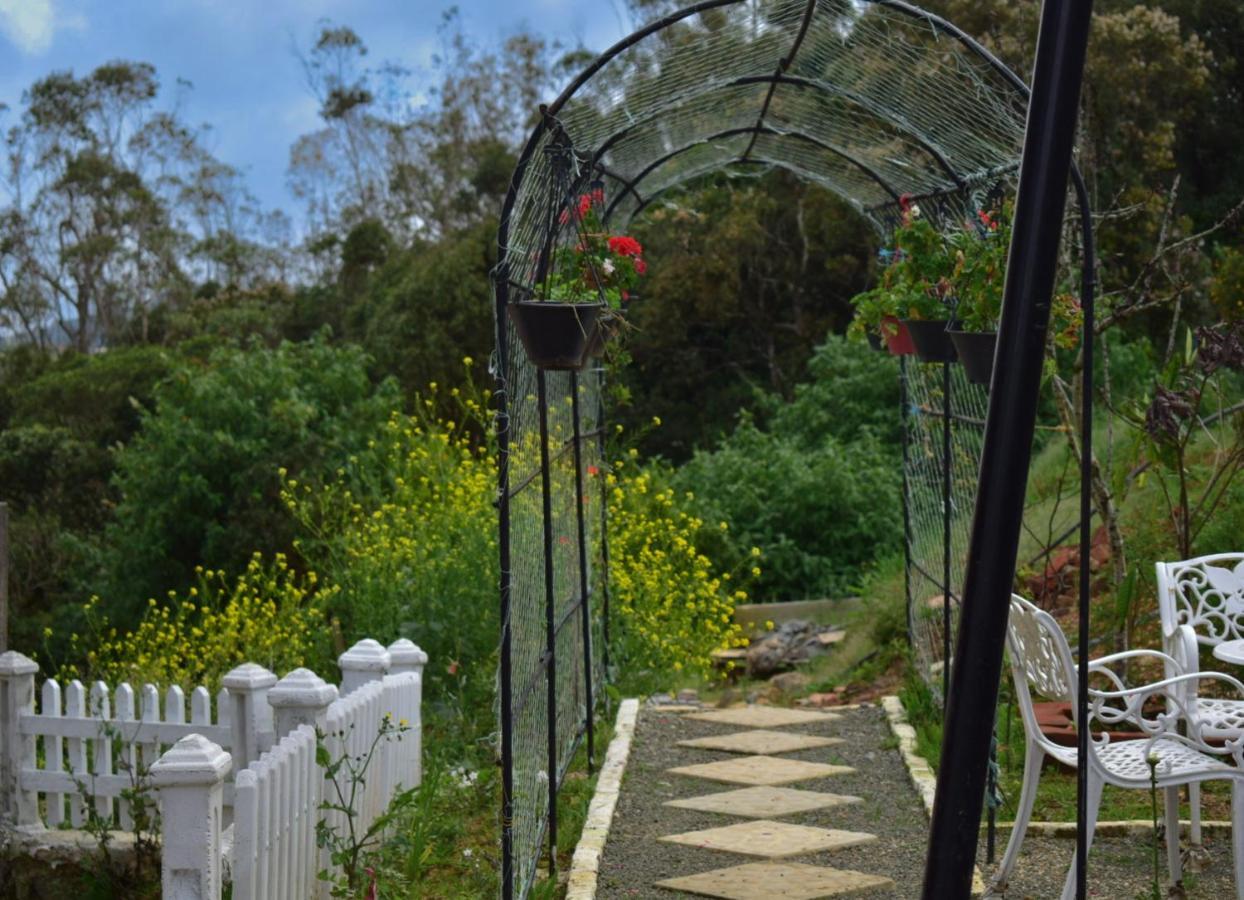 Newbury Villa Νουβάρα Ελίγια Εξωτερικό φωτογραφία